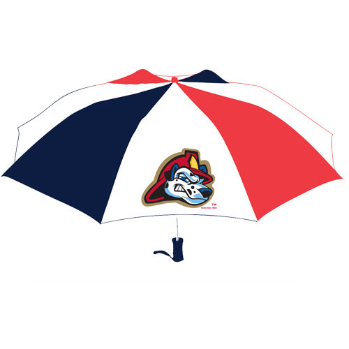 Tri-Color Umbrella
